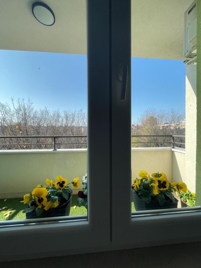 Sunny Studio Lejlighed Novi Sad Eksteriør billede